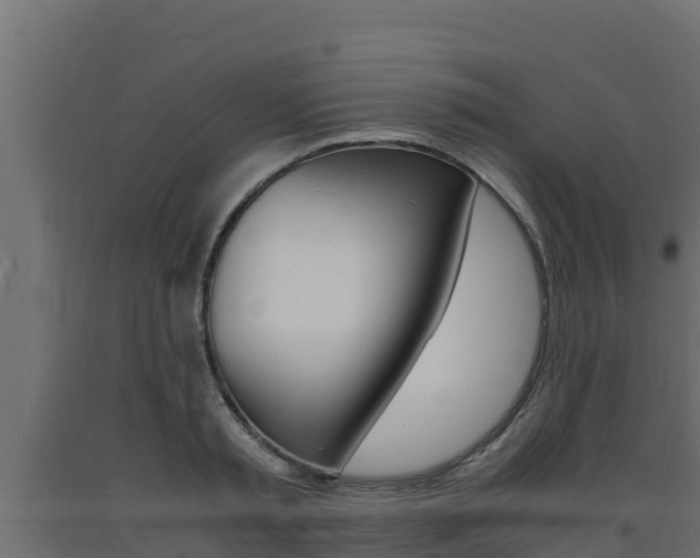 X0000093730797200710160812