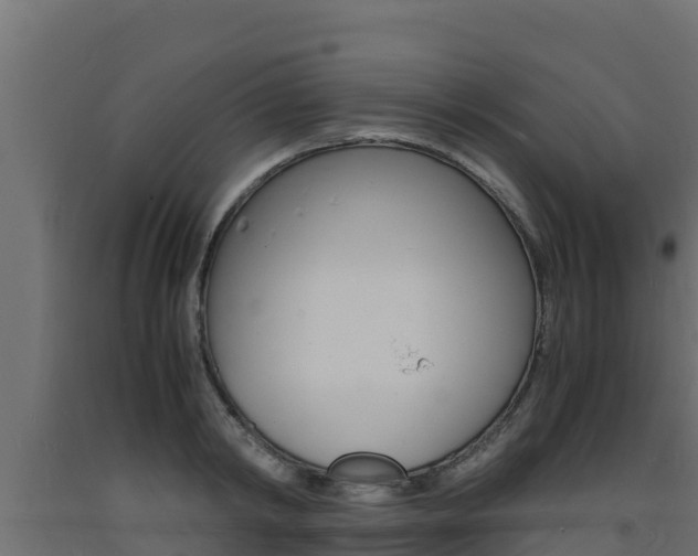 X0000093730798200710160812