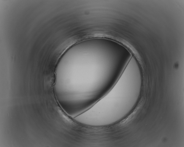 X0000093730801200710160812