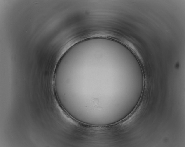X0000093730802200710160812