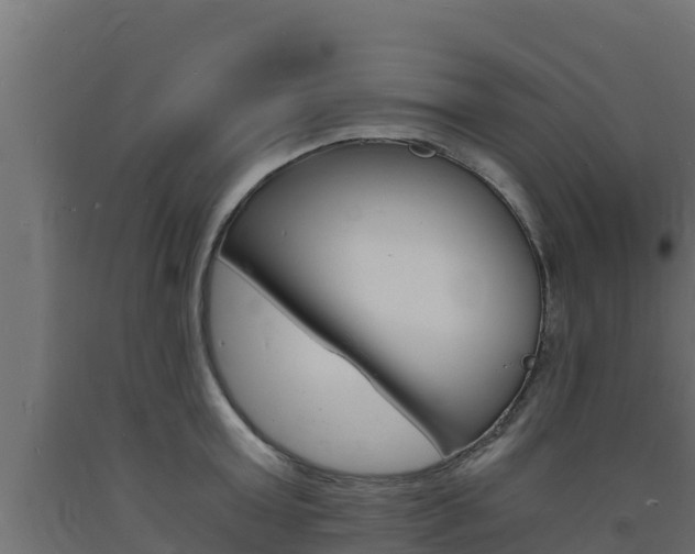 X0000093730803200710160812