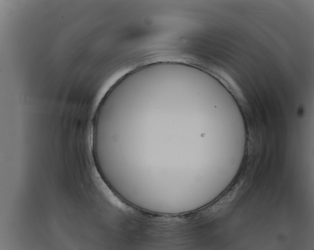 X0000093730804200710160812
