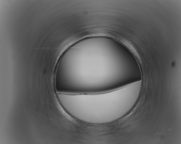 X0000093730805200710160812
