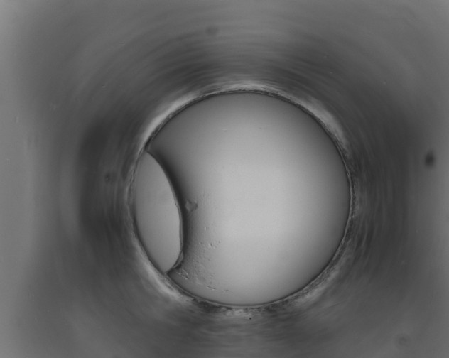 X0000093730806200710160812