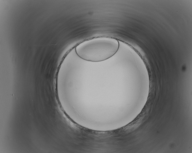 X0000093730807200710160812