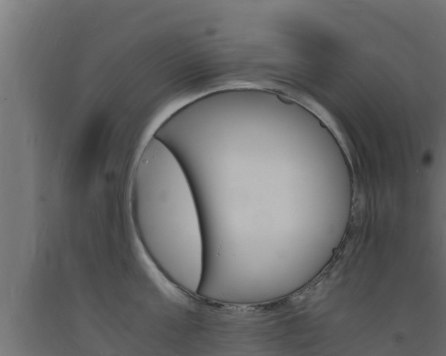 X0000093730811200710160812