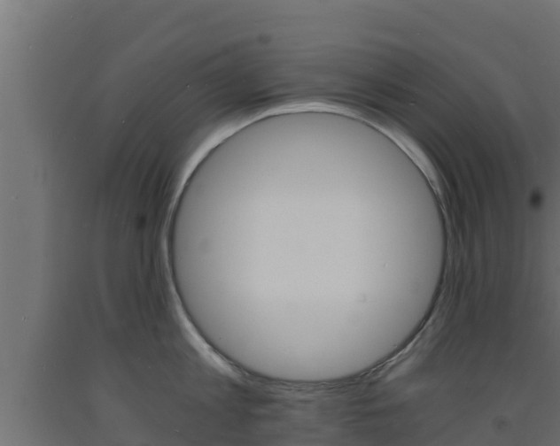 X0000093730813200710160812