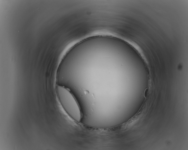 X0000093730815200710160812