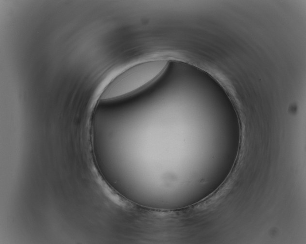 X0000093730816200710160812