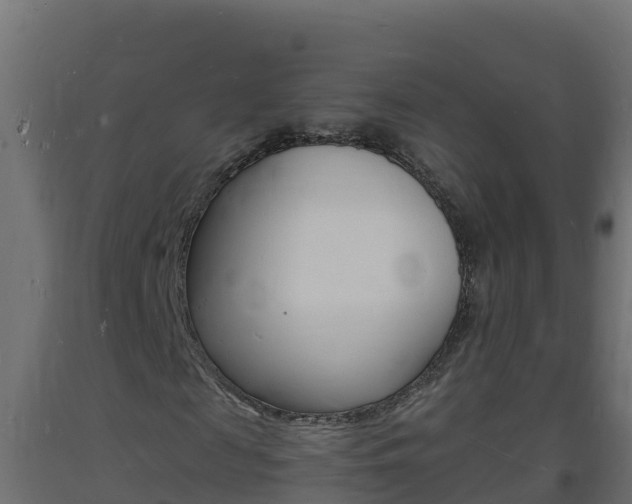 X0000093730817200710160811