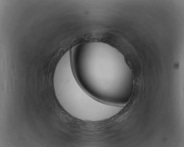 X0000093730818200710160811