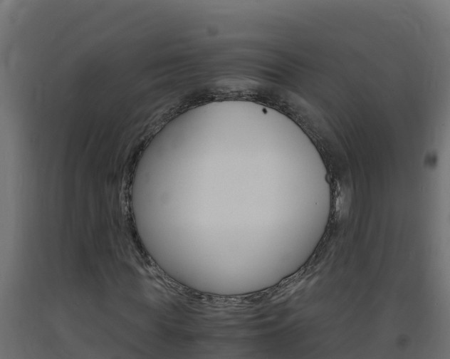 X0000093730819200710160811