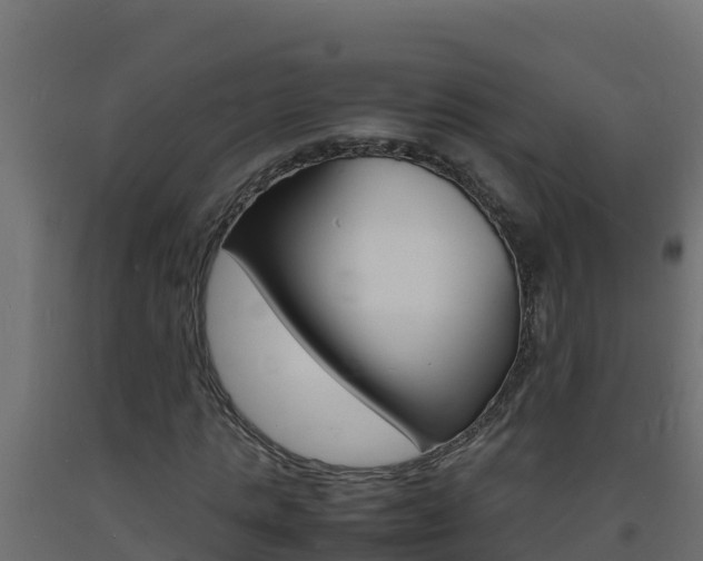 X0000093730821200710160811