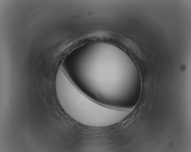 X0000093730822200710160811
