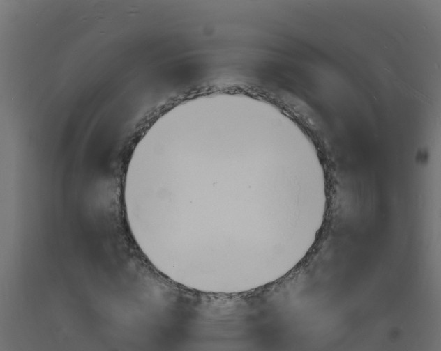 X0000093730824200710160811