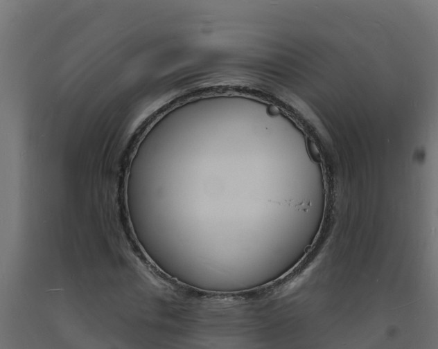 X0000093730826200710160811