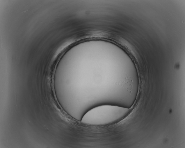 X0000093730827200710160811