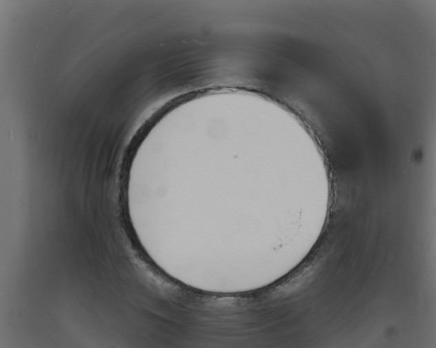 X0000093730828200710160811