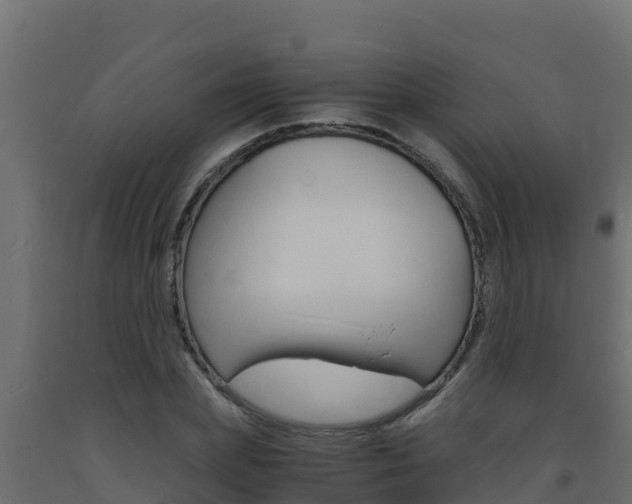 X0000093730831200710160811