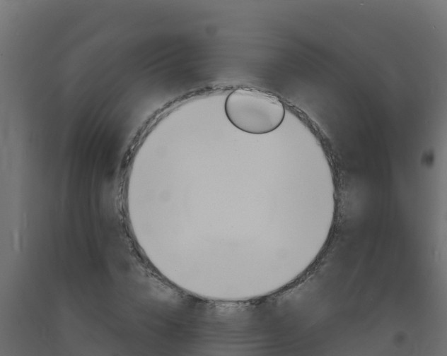 X0000093730832200710160811