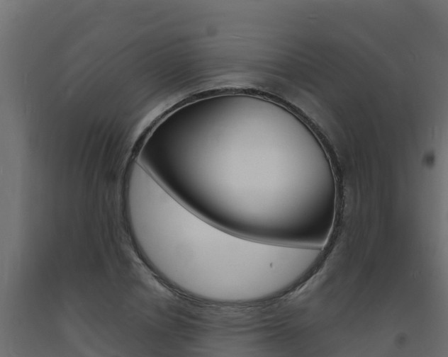 X0000093730834200710160811