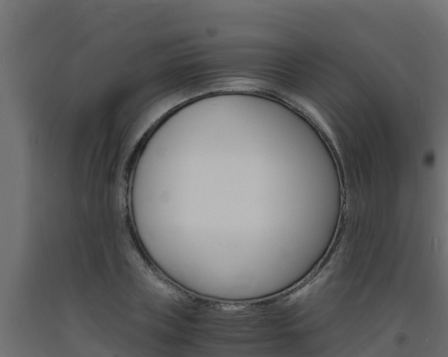 X0000093730835200710160812