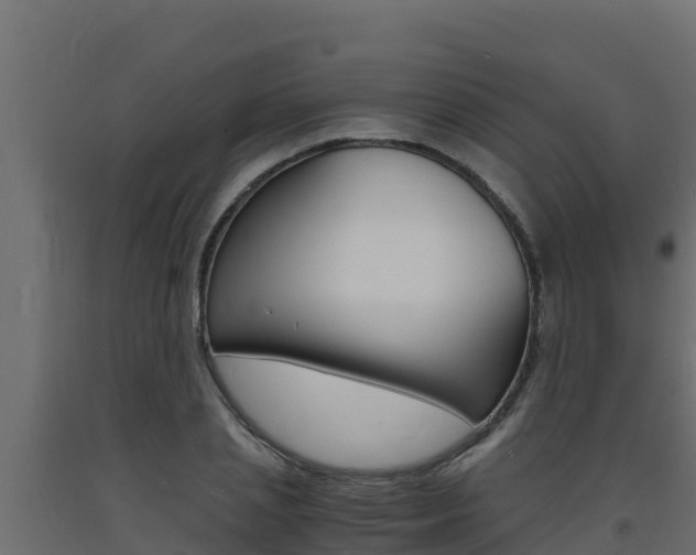 X0000093730837200710160812