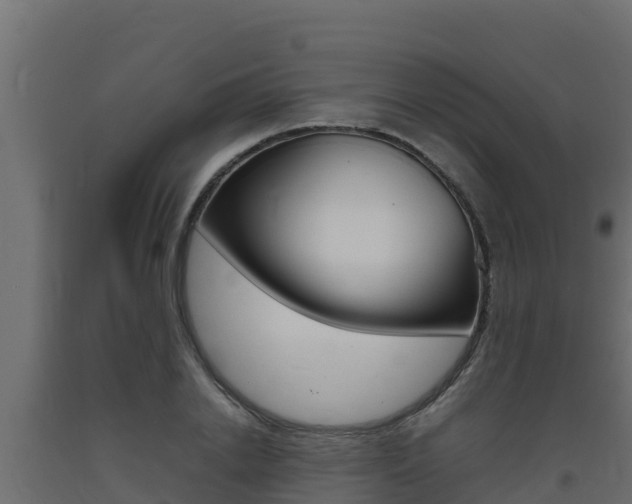 X0000093730838200710160812