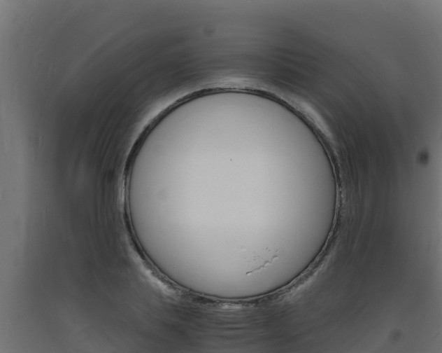 X0000093730839200710160812