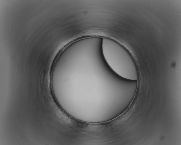 X0000093730840200710160812