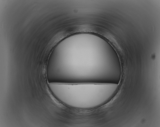 X0000093730841200710160812