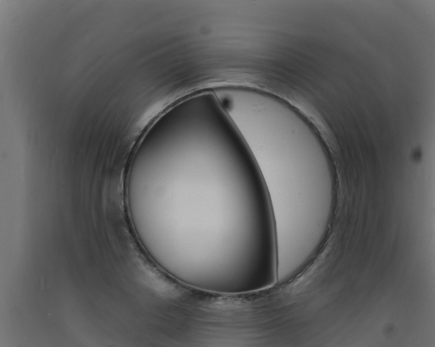 X0000093730842200710160812
