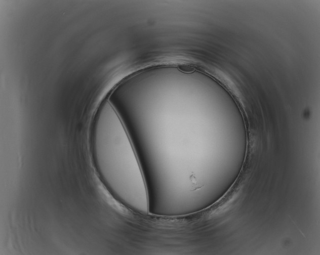 X0000093730843200710160812