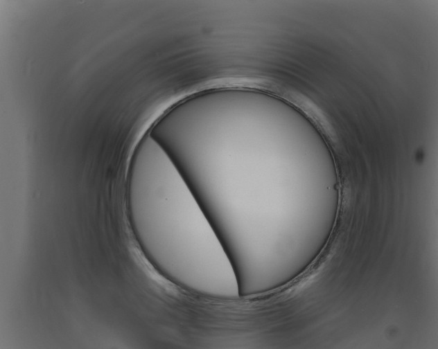 X0000093730844200710160812