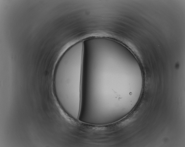 X0000093730845200710160812