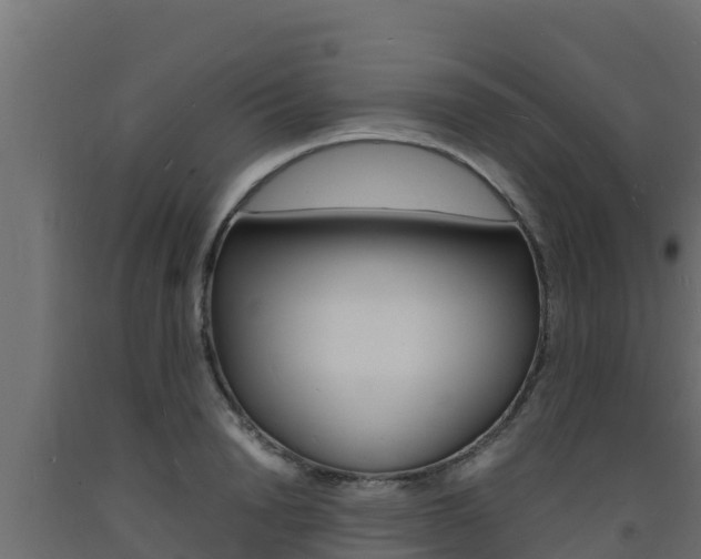 X0000093730846200710160812