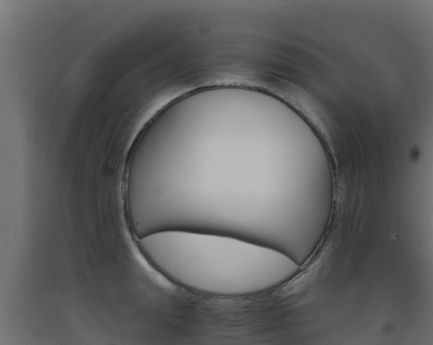 X0000093730847200710160812
