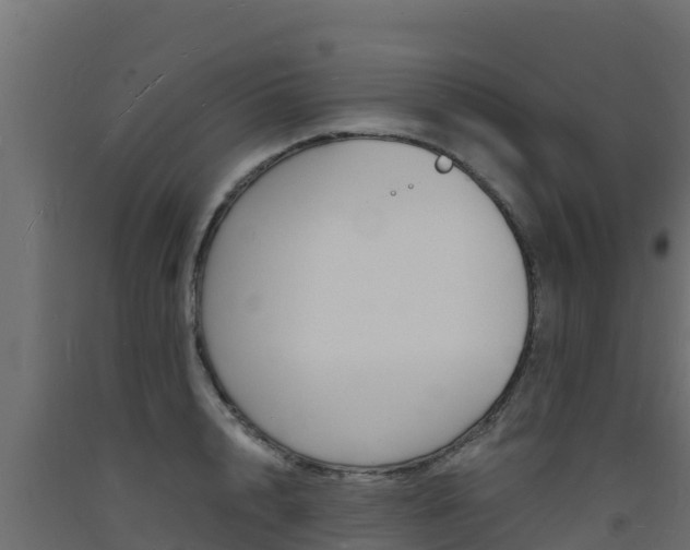 X0000093730848200710160812