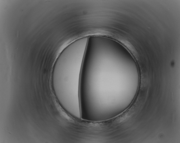X0000093730850200710160812