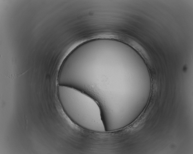X0000093730852200710160812