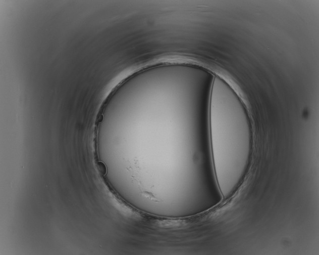 X0000093730853200710160812