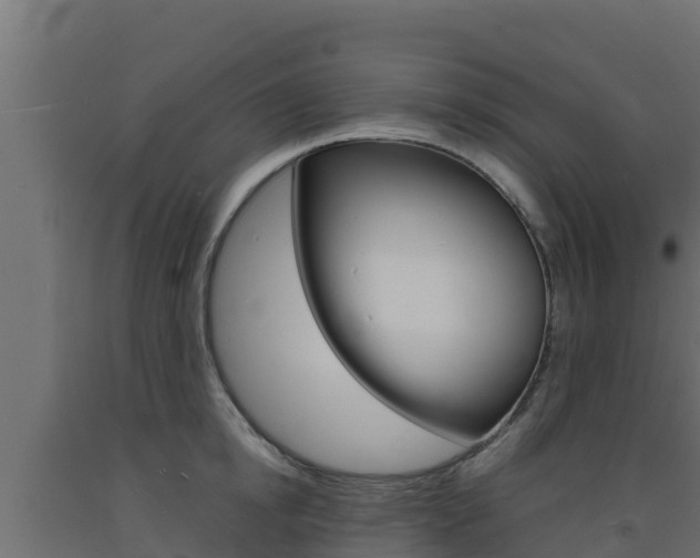 X0000093730854200710160812
