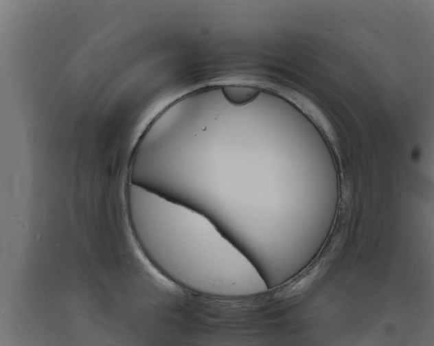 X0000093730855200710160812