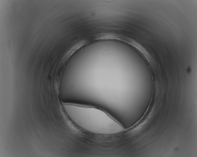 X0000093730857200710160812