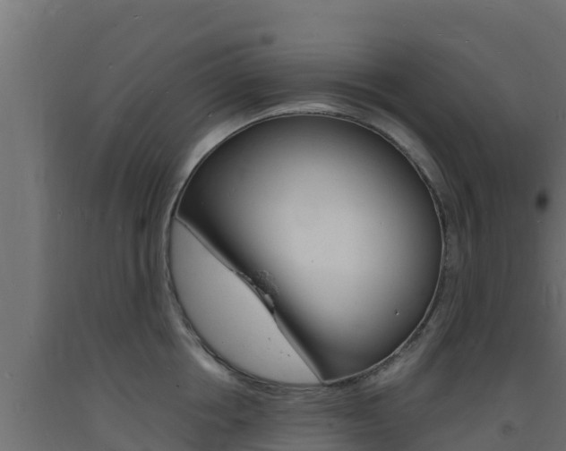 X0000093730858200710160812