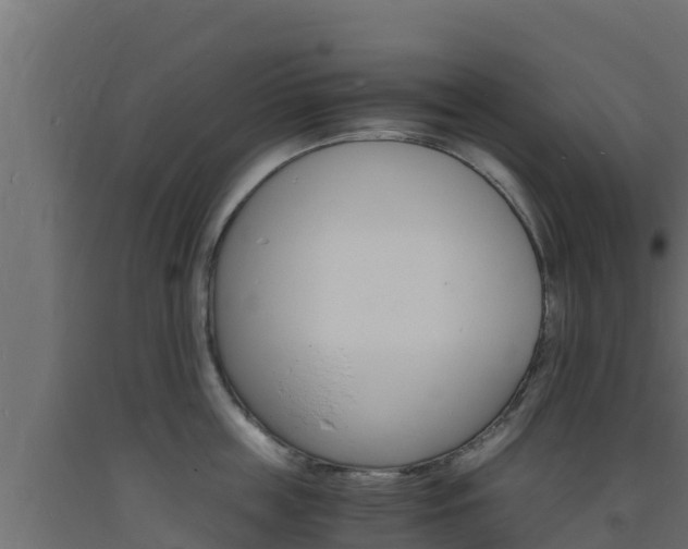 X0000093730859200710160812