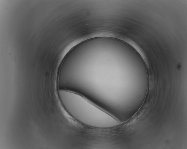 X0000093730861200710160812