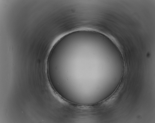 X0000093730862200710160812