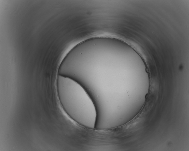 X0000093730863200710160812
