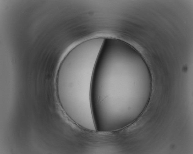X0000093730864200710160812
